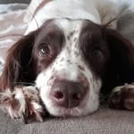 Andrew Petchey - @andrewpetchey - Instagram