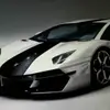 andrewpetch726 - @andrewpetch726 - TikTok
