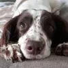 petchey - @andrewpetchey - TikTok