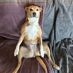 Andrew Peterson - @andrewpeterson2 - Instagram