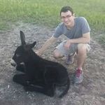 Andrew Petit - @ap.andrew.ap - Instagram