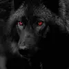 Andrew Petosky (Brige&Stratton - @andrew.petosky.br - TikTok