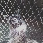 andrew.petrakov - @andrew.petrakov - Instagram