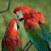 Andrew Petras - Facebook