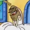 Andrew Petrella - @jimdidnttiktok - TikTok