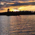 Andrew Petrella - @miqote_noises - Instagram