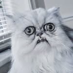 Andrew Picard - @andrew_is_smell - Instagram