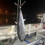 Andy - @andrew.pillar.583 - Instagram
