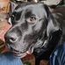 Andrew Pole - Facebook