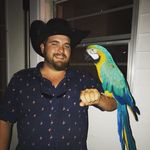 Andrew Polk - @andrewpolk15 - Instagram