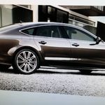 Andrew Polk - @andrew.polk.583 - Instagram