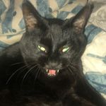 Andrew Pomeroy - @andrew.pomeroy.2022 - Instagram