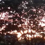 Andrew Poon - @andreww._.gammes - Instagram
