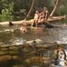 Andrew Pringle - Facebook
