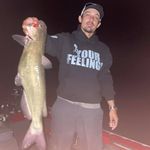 Andrew Pyne - @andrewpyne1 - Instagram