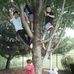 Andrew Que - Facebook