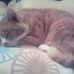 Andrew Raper - Facebook