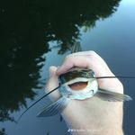 Andrew Raper - @raper9178 - Instagram