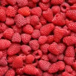 Andrew RASPBERRY - @andrew_raspberry - Instagram