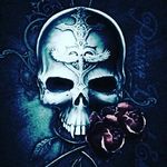 andrewrastelli11 - @andrewrastelli115 - Instagram