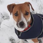 ANDREW RATCLIFFE - @ratcliffe222 - Instagram