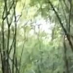 Andrew Rawlins - @andrew_rawlin5 - Instagram