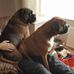 Andrew Rawlinson - Facebook