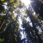Andrew Rawls - @andrew.rawls.73 - Instagram