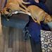 Andrew Rawls - Facebook