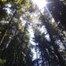 Andrew Rawls - Facebook