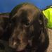 Andrew Raycraft - Facebook