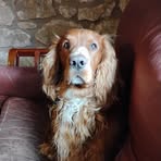 Andrew Roycroft - Facebook