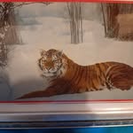 Andrew Rayner - @rayner654 - Instagram