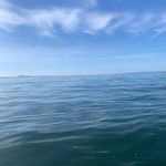 Andrew Douglas - @reasoned_andrew - Instagram