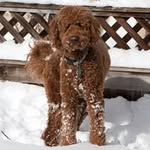 Andrew Rector - @rector.andrew - Instagram