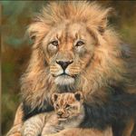 Andrew Reddington - @muthemba_mwega - Instagram