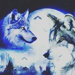andrewredhead - @andrewredhead1 - Instagram