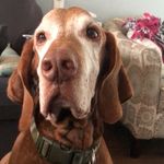 Andrew Redmond - @andrewredmond07 - Instagram