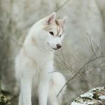 Andrew Reimer - @5096andrew - Instagram