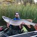 Andrew Reimer - Facebook