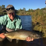 Andrew Reimer - @barkeaterbuilder - Instagram
