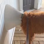 andrew reimer - @andrew.reimer1 - Instagram