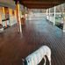 Andrew Renden - Facebook