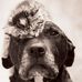 Andrea Randleman - Facebook