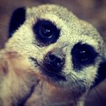 Andrew Rennard - @rennarda - Instagram