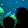 Andrew Reuther311 - @andrewreuther - TikTok