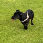 Andrew Revill - @amrevill18 - Instagram
