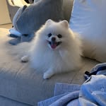 andrew rhee - @wann.ies - Instagram