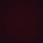 Andrew rhee - @andrewprivv_ - Instagram
