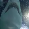 andrew rhoads - @andrewrhoads44 - TikTok
